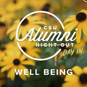 Wellbeing webinar