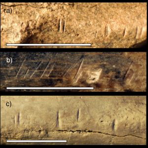 anthropology michael pante