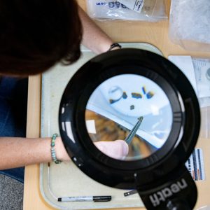 Student looks under a microscope at a soil micromorphology in the Center for Research in Archaeogeophysics and Geoarchaeology