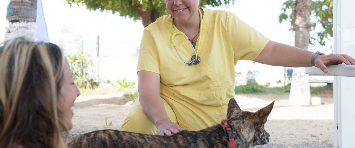 Center for Languages for Specific Purposes Education and Research (CLEaR)