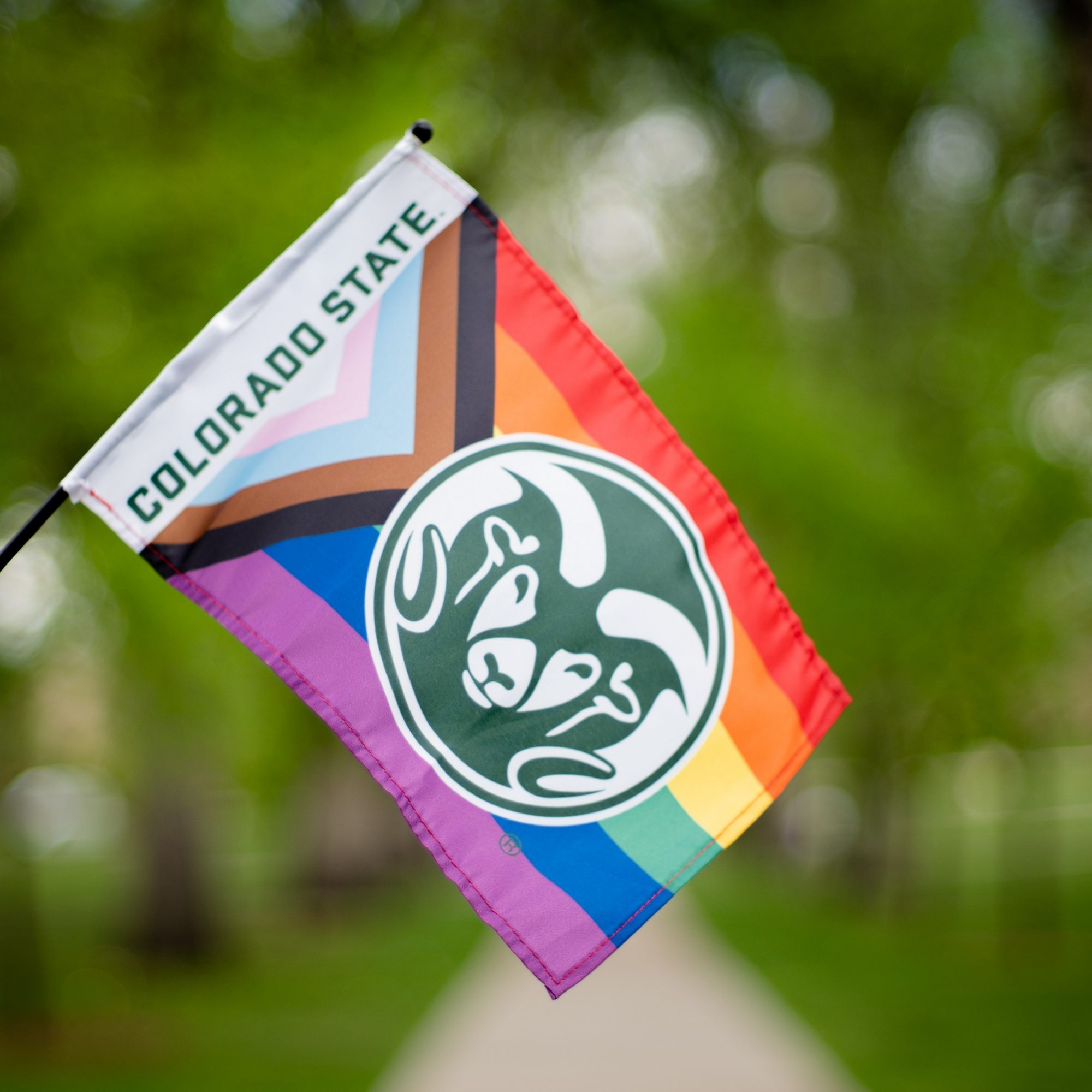Queer Studies - College of Liberal Arts