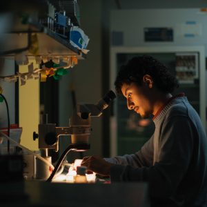 Raul Hernandez Robles, who is majoring in neuroscience in CSU’s College of Veterinary Medicine and Biomedical Sciences, is researching the connections between Type 2 diabetes and schizophrenia and bipolar disorder. Photo: Ben Ward / Colorado State University.