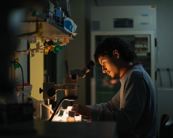 Raul Hernandez Robles, who is majoring in neuroscience in CSU’s College of Veterinary Medicine and Biomedical Sciences, is researching the connections between Type 2 diabetes and schizophrenia and bipolar disorder. Photo: Ben Ward / Colorado State University.