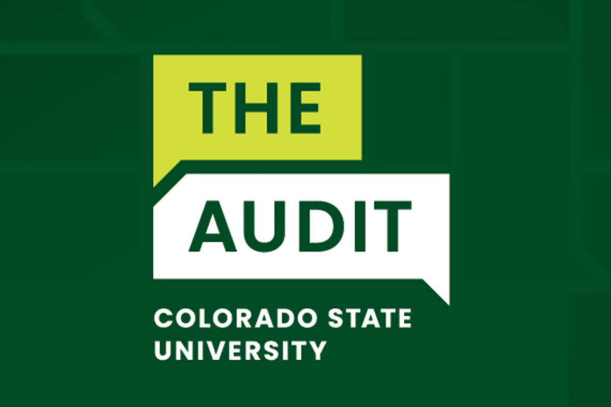 The Audit Podcast cover