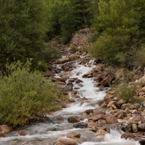 photo of a stream with greenery on both sides