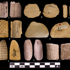 Three rows of pairings of bones and wood pieces with various designs carved or painted on them. These are the earliest known examples of dice.