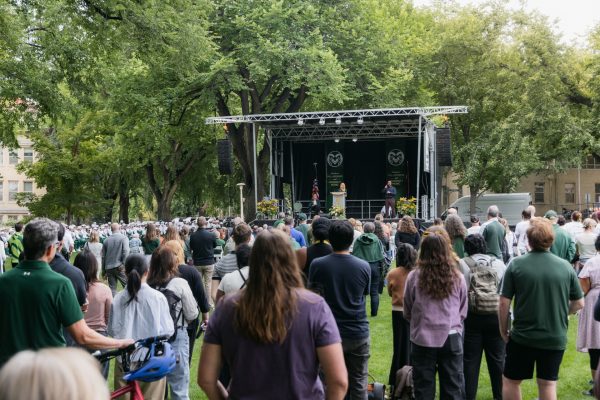 Crowd and stage