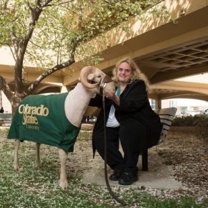 05001_00283-e1461716085610-400x400