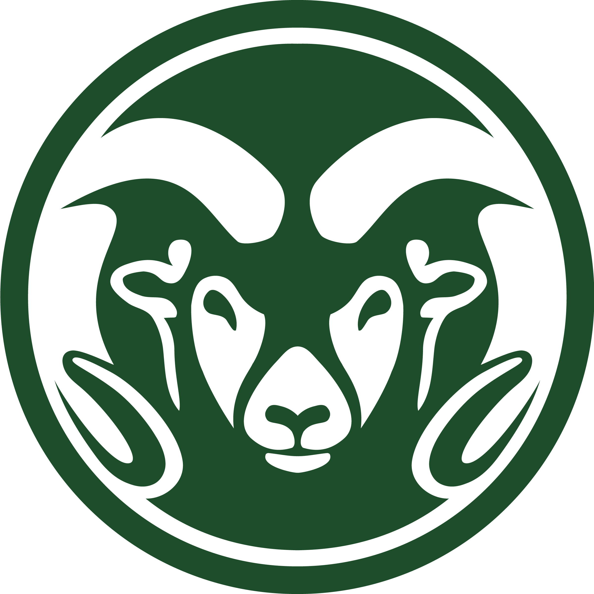 csu-ram-357-1