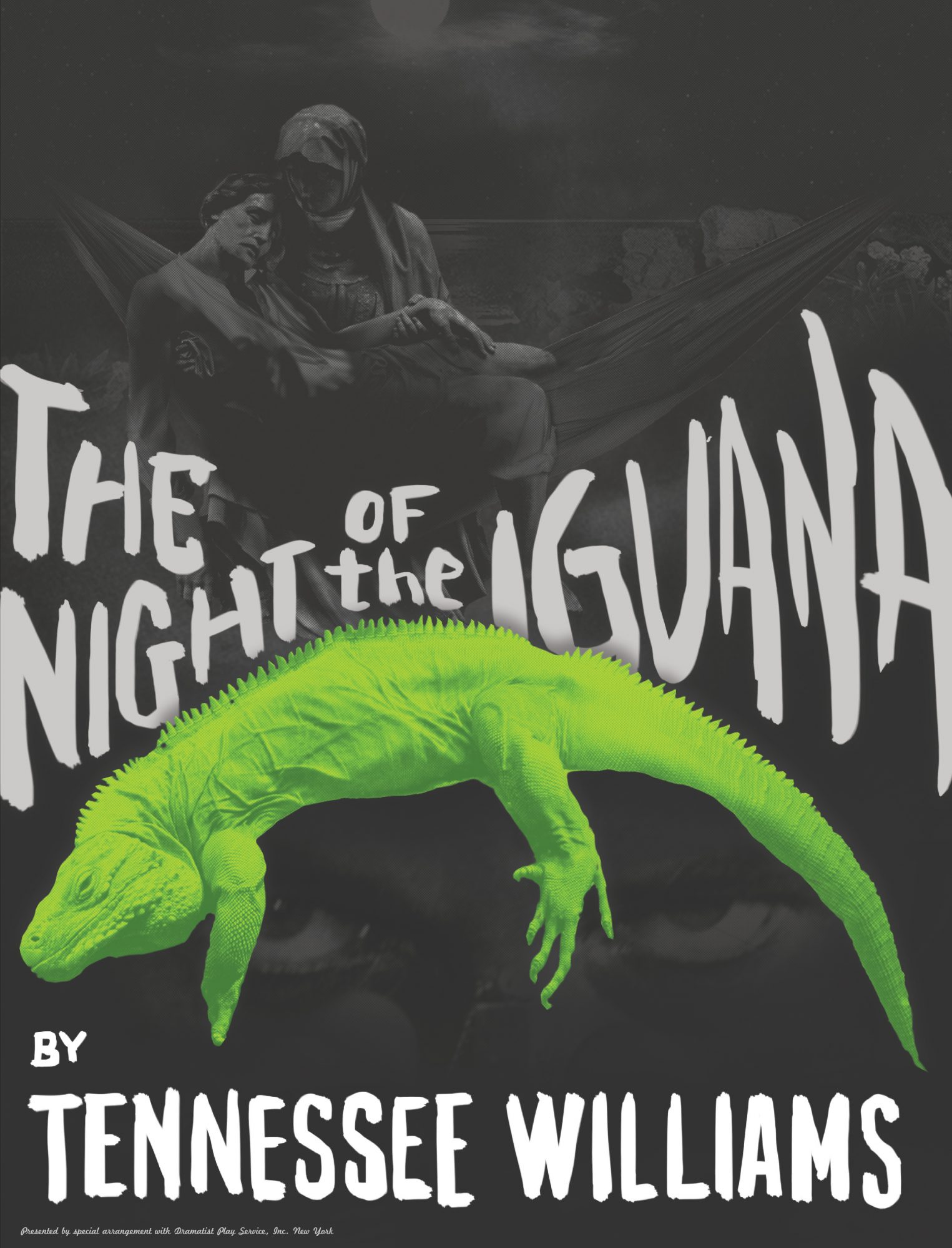 <em>The Night of the Iguana</em> by Tennessee Williams