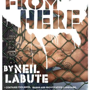 <em>The Distance from Here</em> by Neil LaBute
