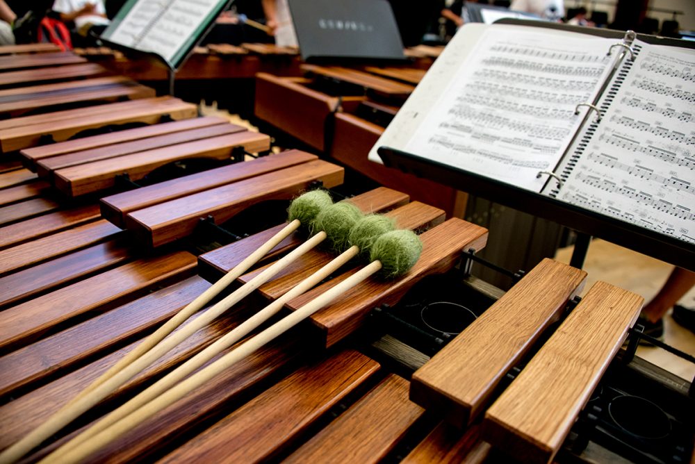 2024 CSU Percussion Camp