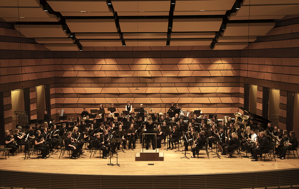 2017 Middle School Outreach Ensembles