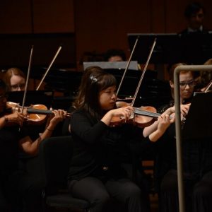 Concert Orchestra Concert