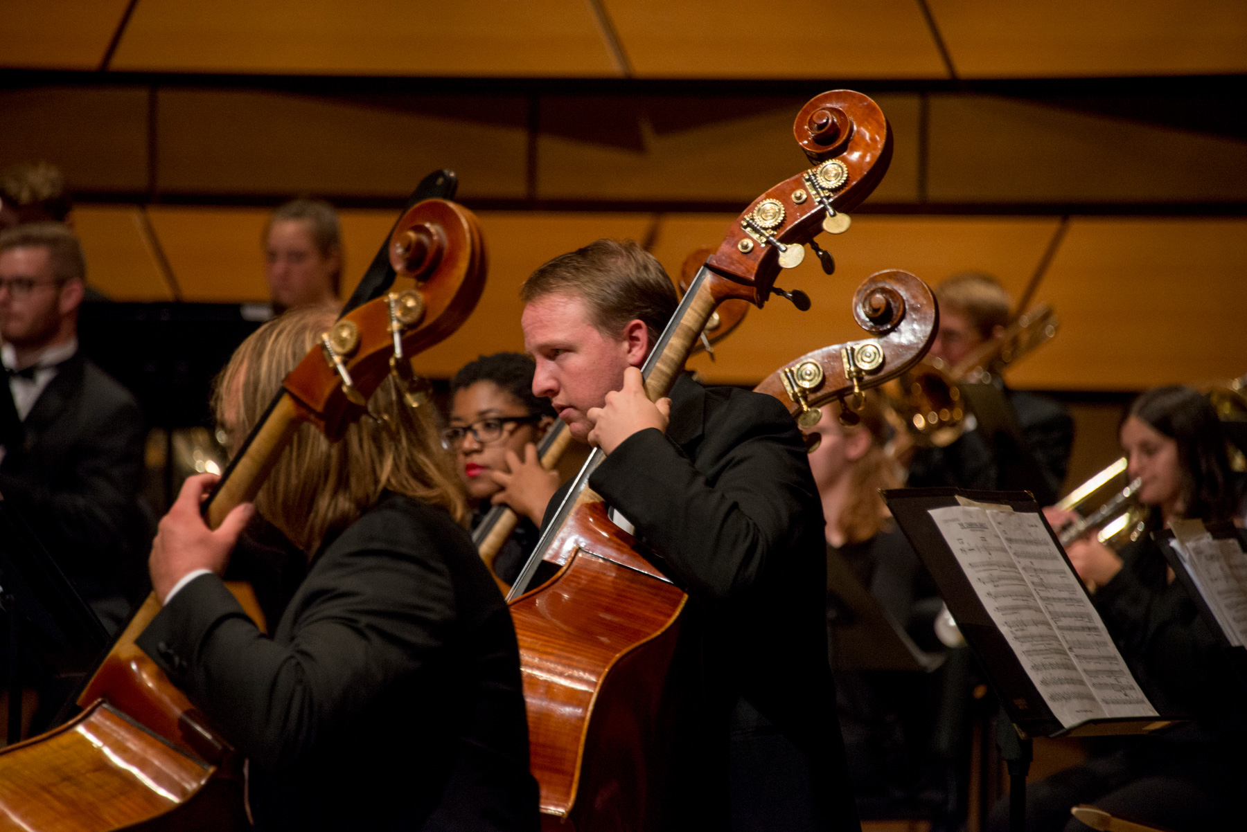 Concert Orchestra Concert / FREE