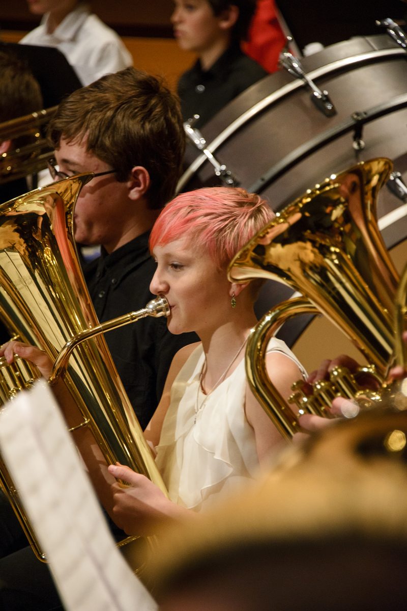 ONLINE: 2021 Middle School Outreach Ensemble (MSOE)