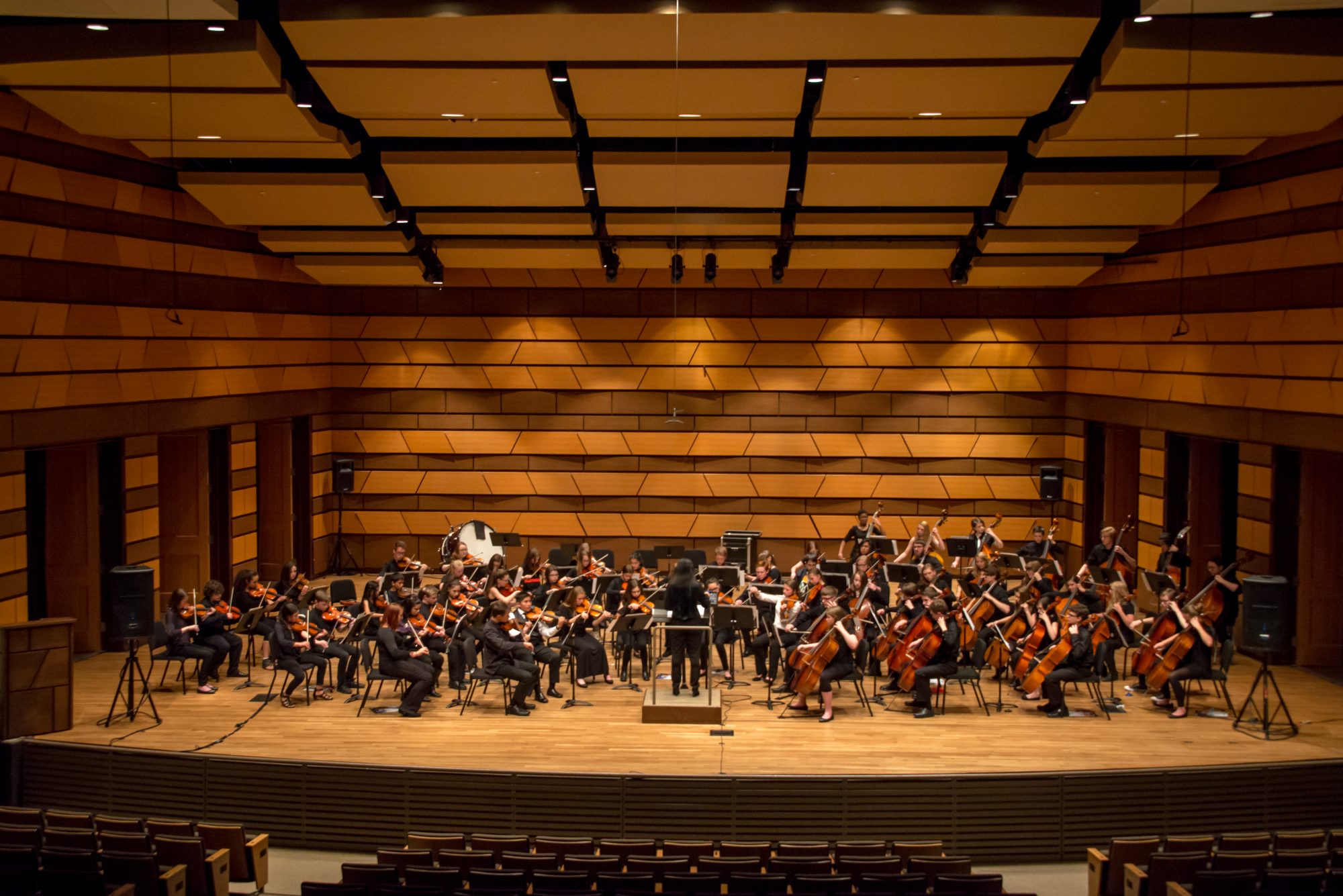 ONLINE: 2021 Trying on Teaching with the Middle School Outreach Ensemble (MSOE)