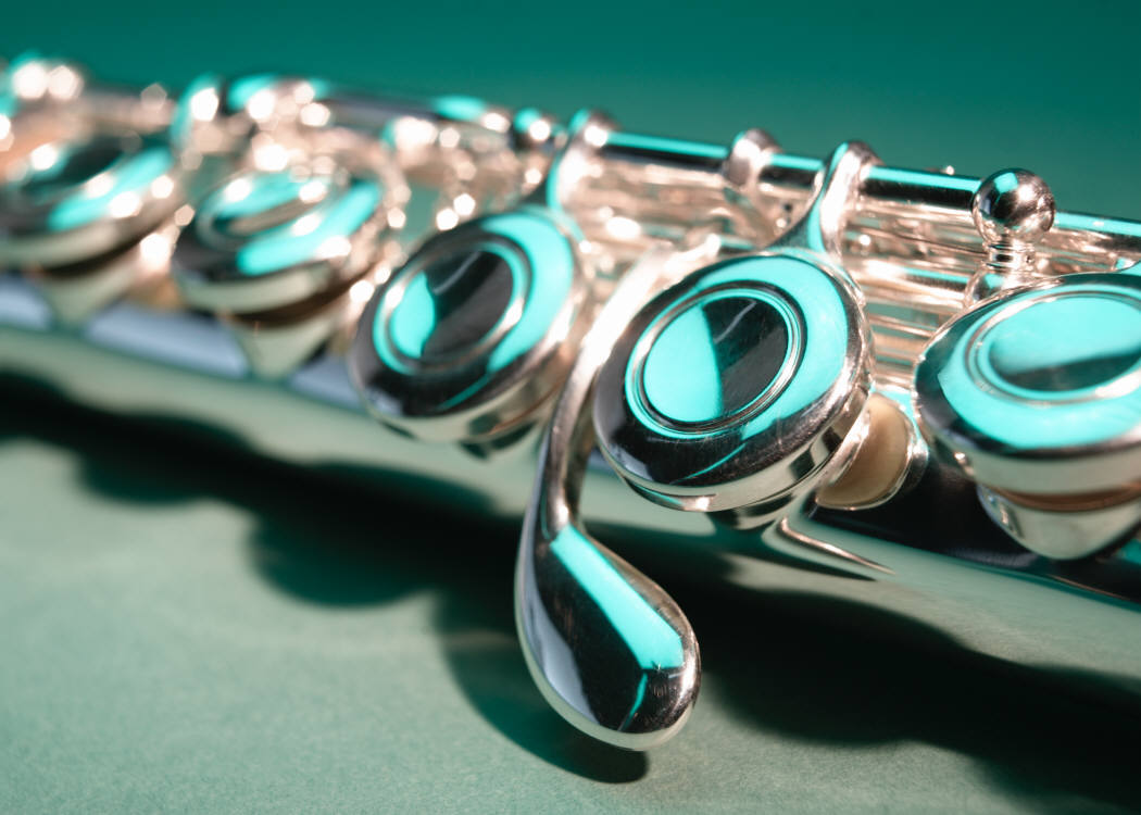 Flute Studio Recital / FREE