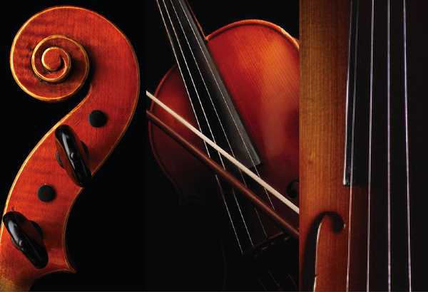 Graduate String Quartet