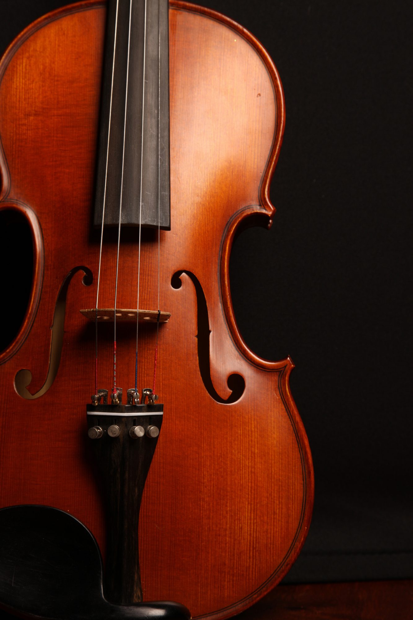 Violin Studio Recital /<strong>FREE</strong>