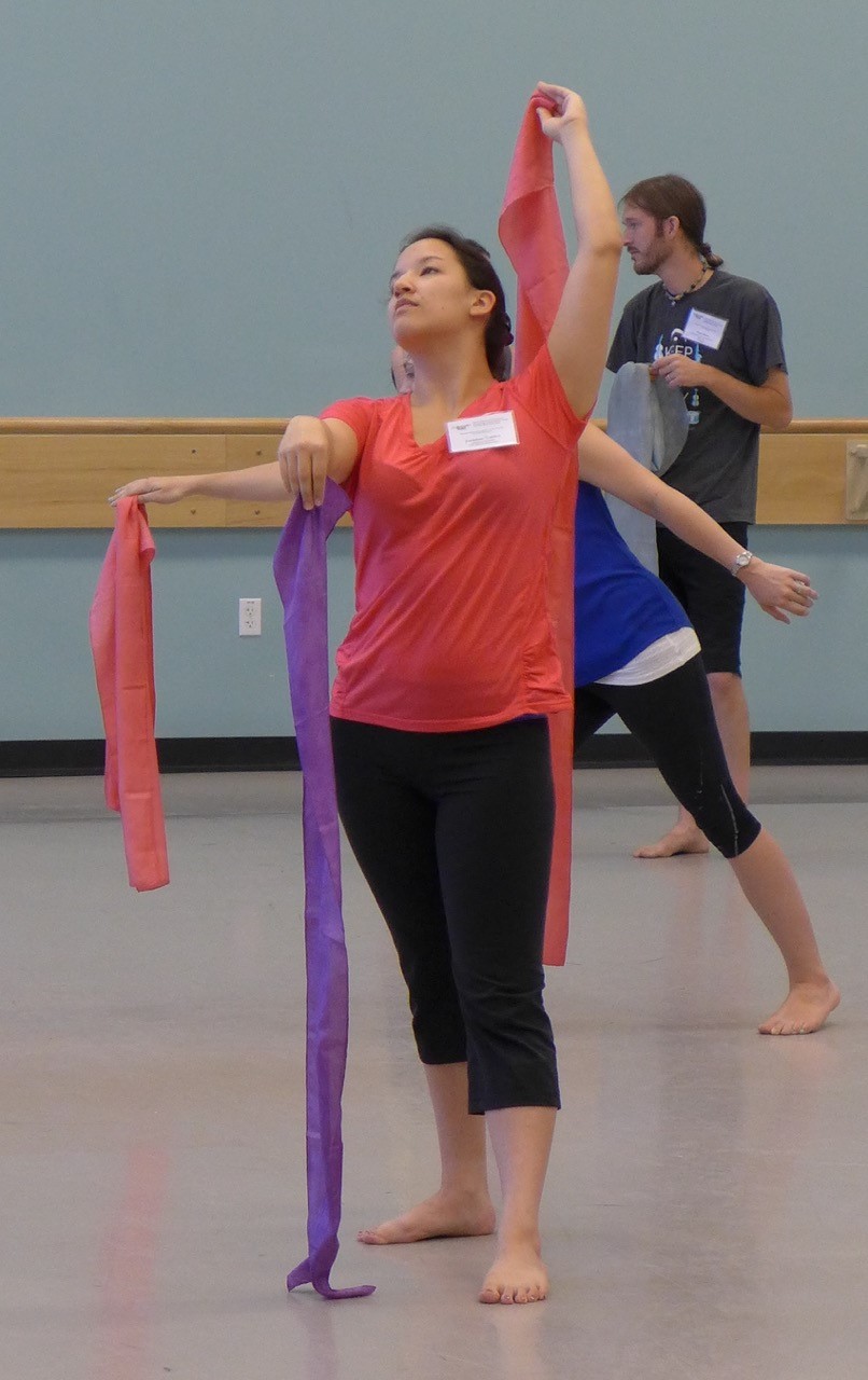 Professional Development for K-12 Teachers: Summer Seminar