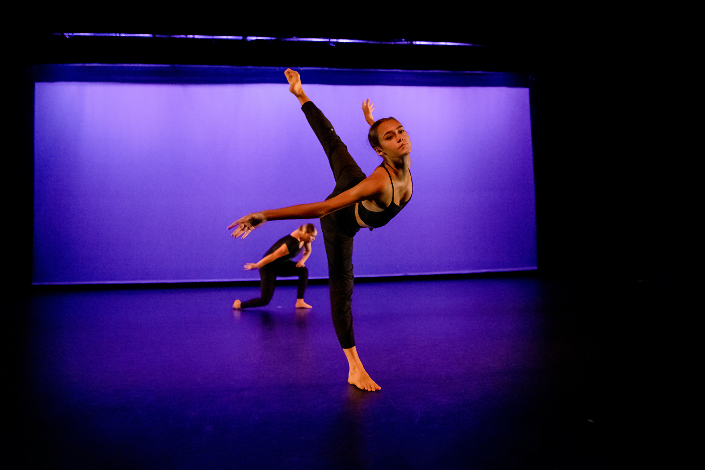 Spring 2024 Virtual Visit Session