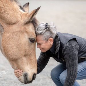 Interspecies Journey: A residency with JoAnna Mendl Shaw and The Equus Projects