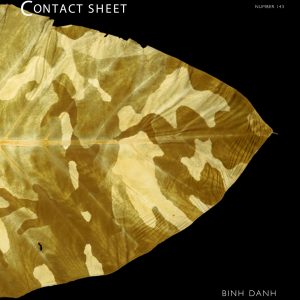 Critic & Artist Residency Series: Binh Danh