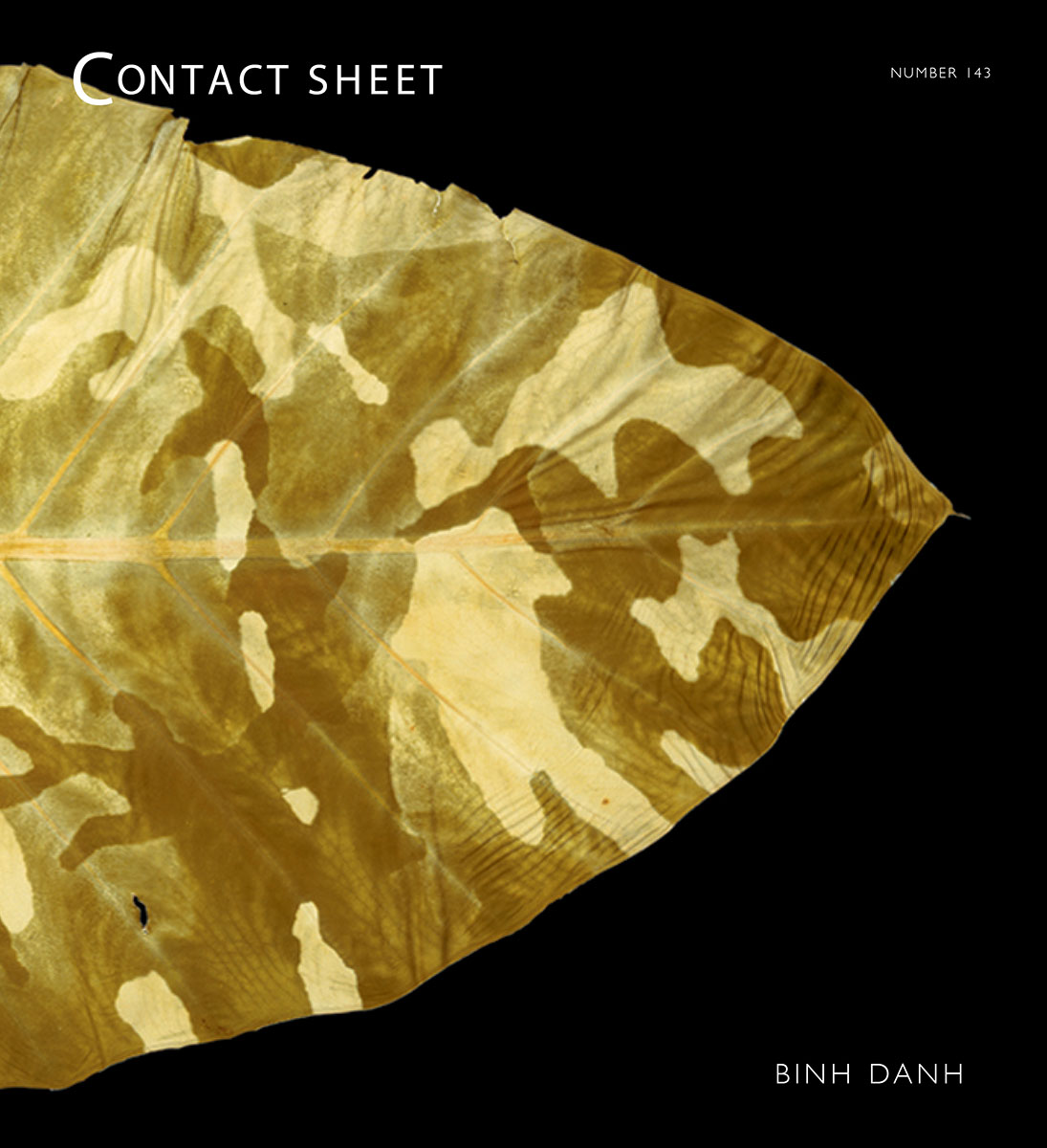 Critic & Artist Residency Series: Binh Danh