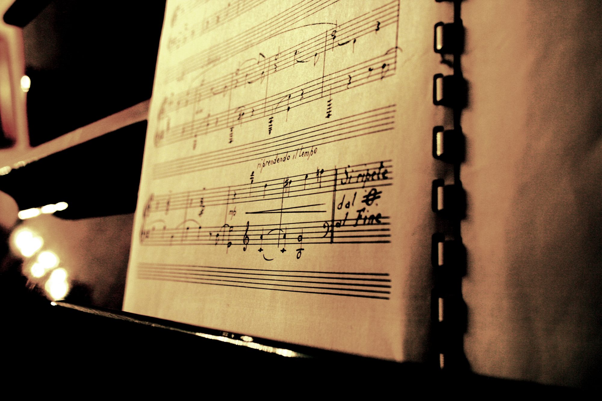 Music in the Museum Concert Series