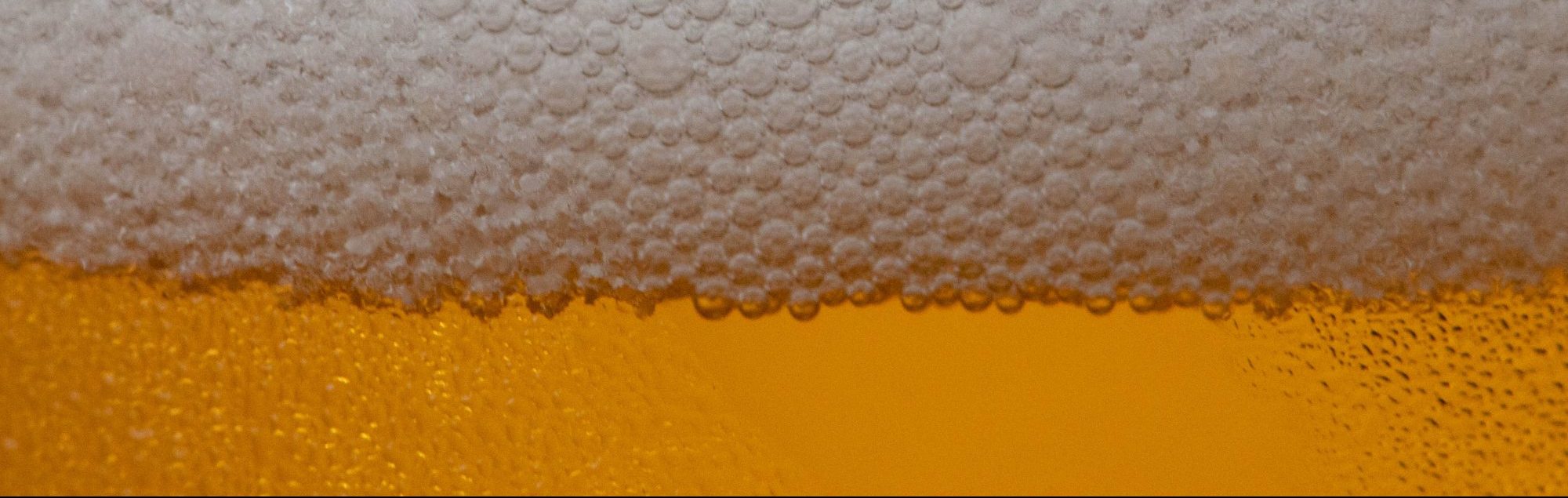 Africa & Ale