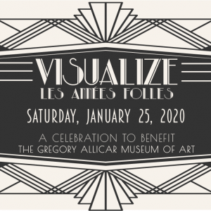 Visualize 2020