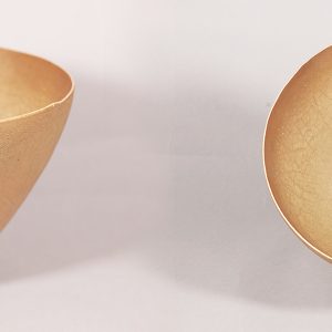 Richard De Vore and the Teaching Collection