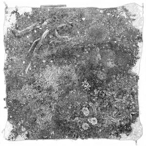 Reclamation: Recovering Our Relationship with Place