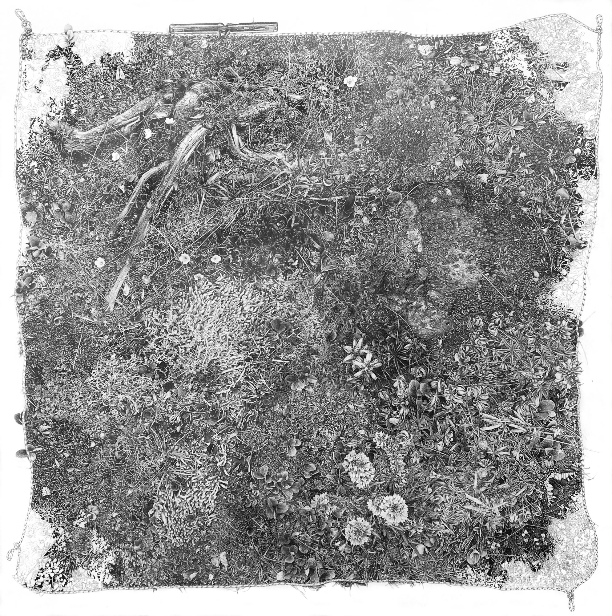 Reclamation: Recovering Our Relationship with Place