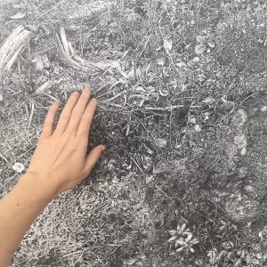 Art & Science Family Day