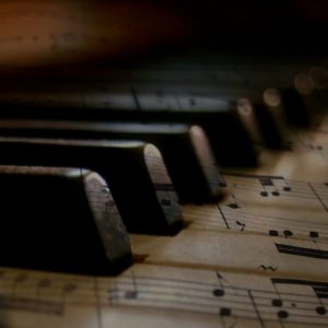Music in the Museum Concert Series