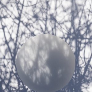 Brenda Biondo: Legacy of Shadows