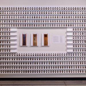 Mary Mattingly Artist Talk