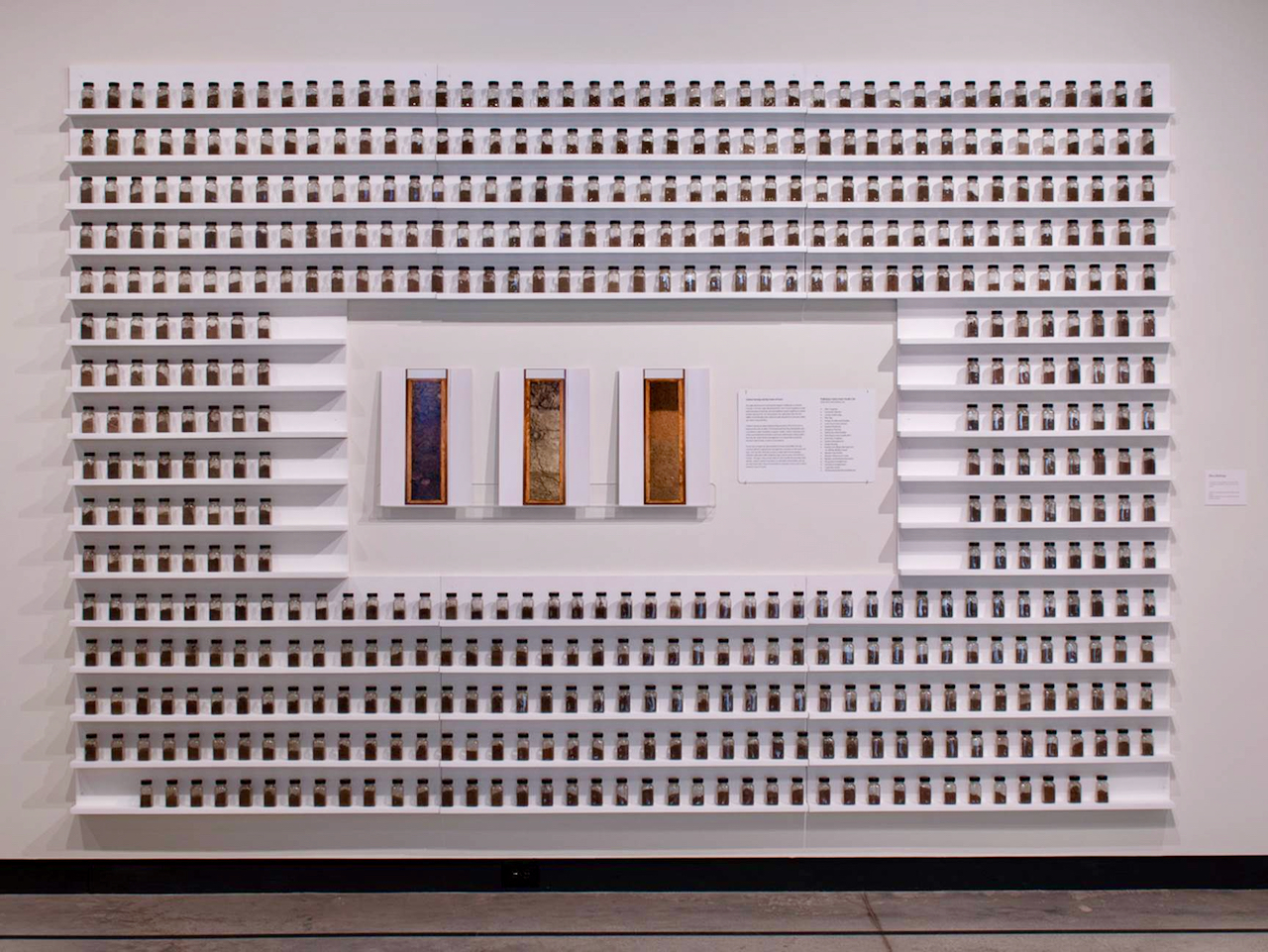 Mary Mattingly Artist Talk