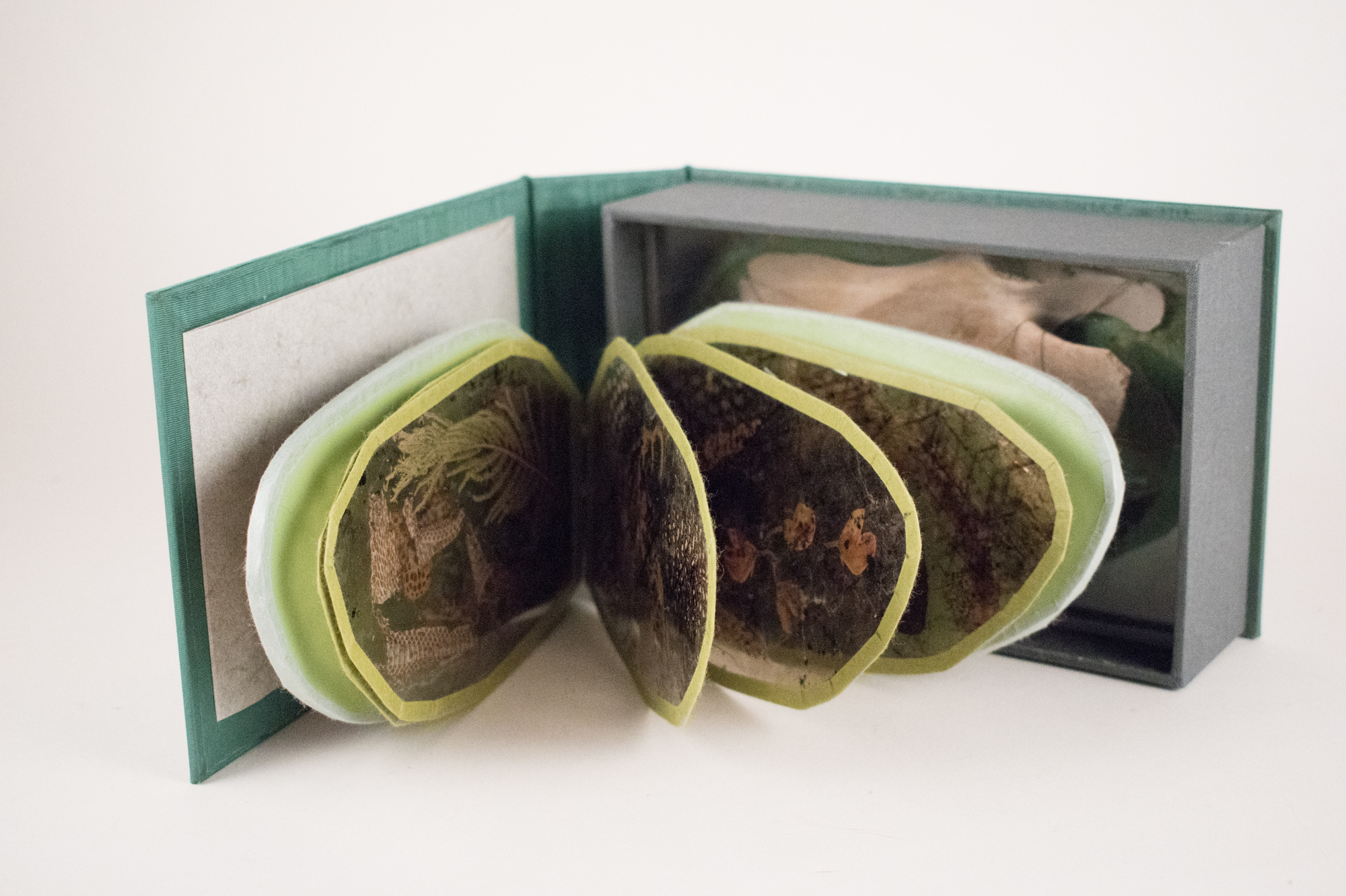 Off the Shelf: Contemporary Book Arts in Colorado