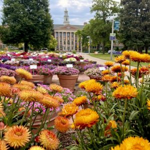 Yoga in the Gardens