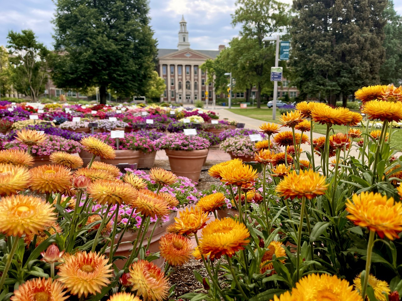 Yoga in the Gardens