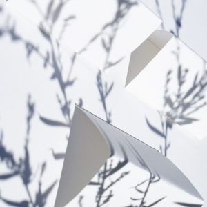 Brenda Biondo Artist Talk and Reception