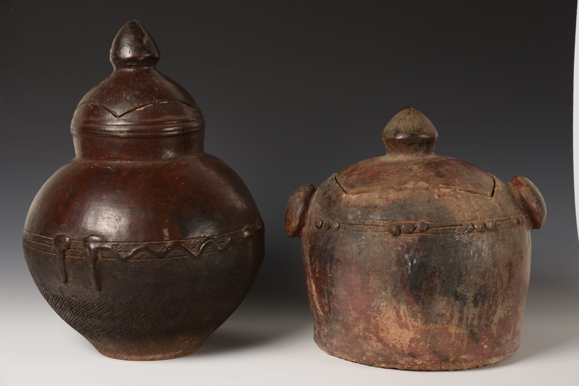 Gallery Tour with Dave Riep