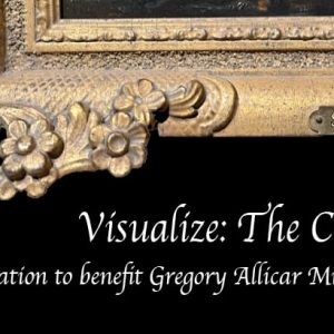 Visualize: The Collection