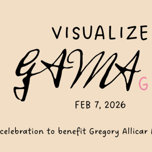 Visualize GAMA Glam