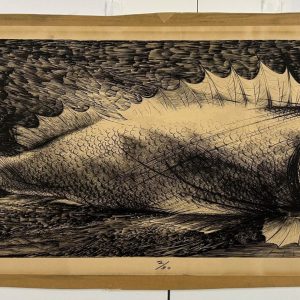 Collection Connections: Former Faculty and Alumni