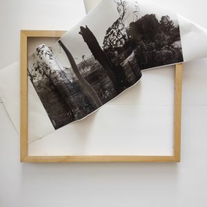 Degrees by Odette England