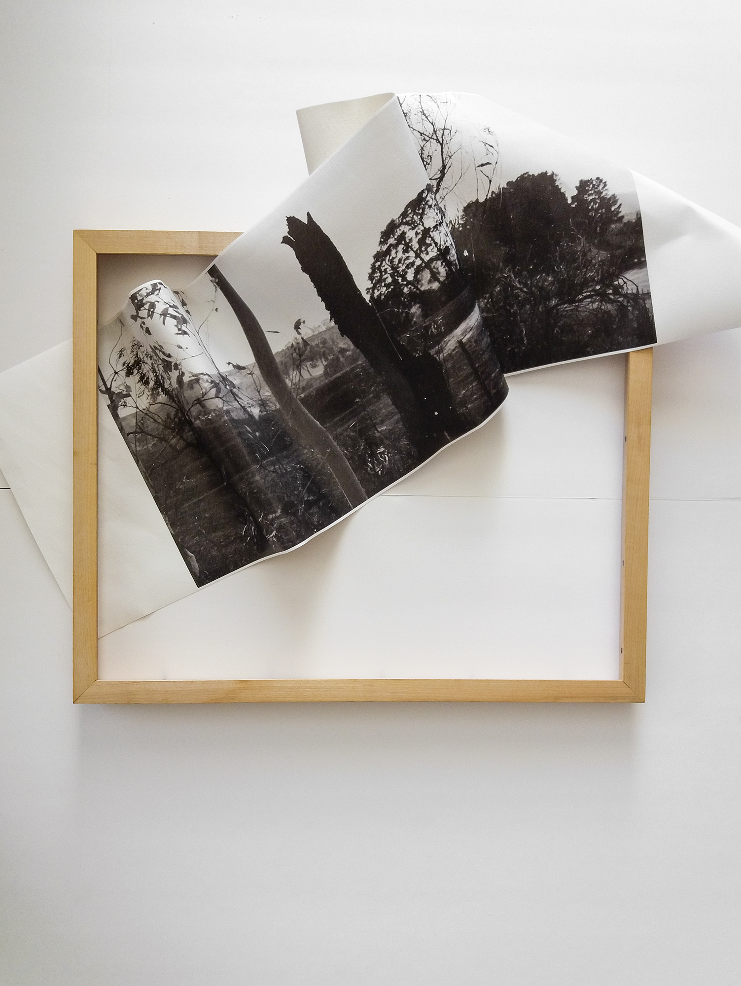 Degrees by Odette England